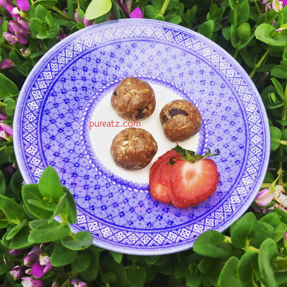 21 Day Fix: Shakeology Oat Protein Balls