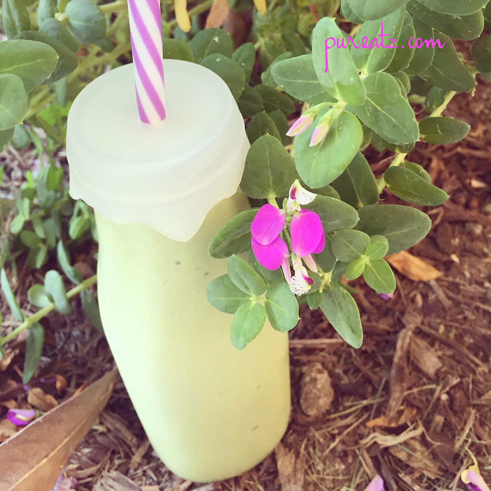21 Day Fix: Banana Spinach Smoothie